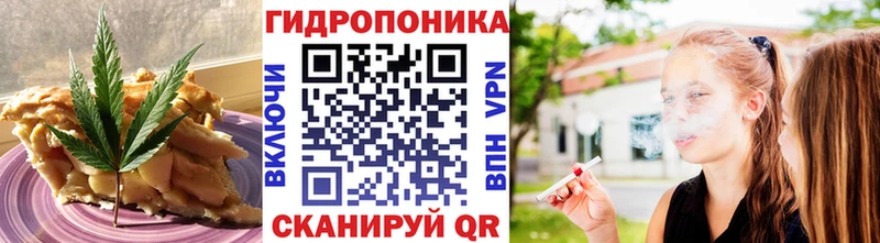 Cannafood конопля  Купить где  Нахабино 